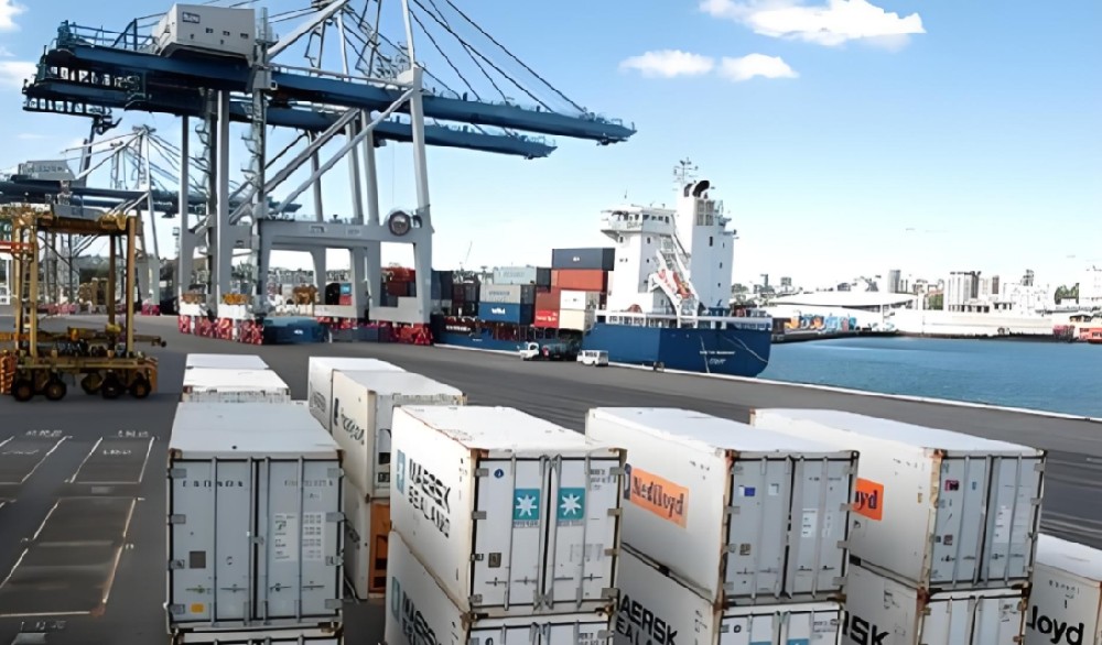 政策與市場雙擎驅動，解鎖國際貿易新局